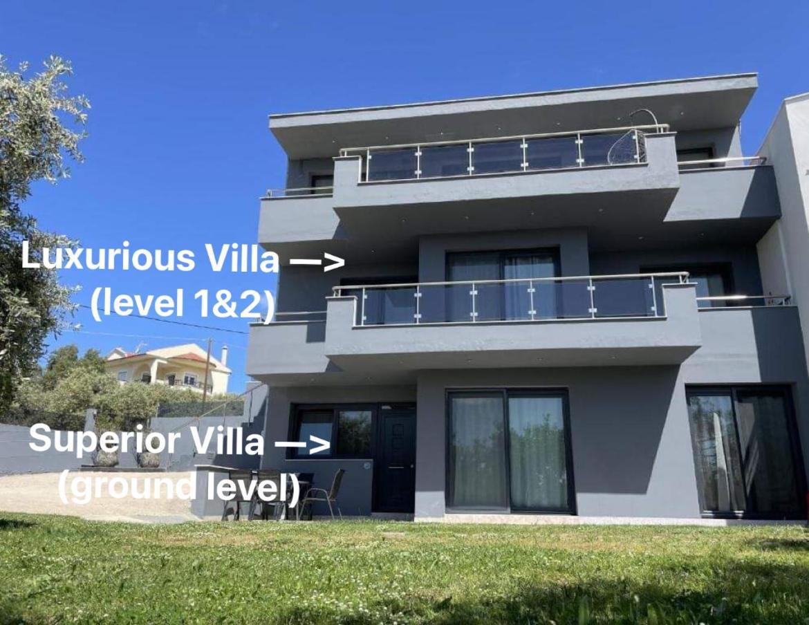 Discovery Villas 利迈纳里亚 外观 照片